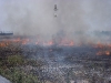 j_ic_forestales_127