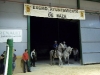 campeonato_caballos_99